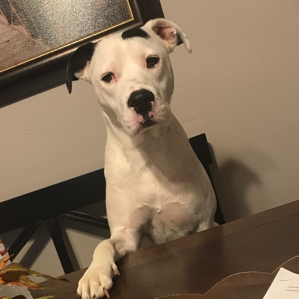 Meet your Posher, Jolene